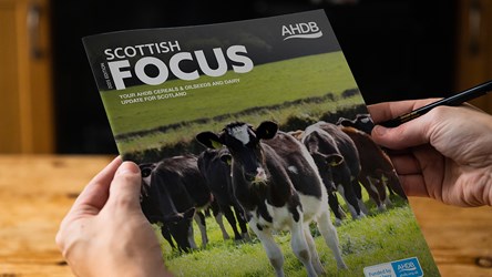 Scottish Focus 2025 being held at a kitchen table